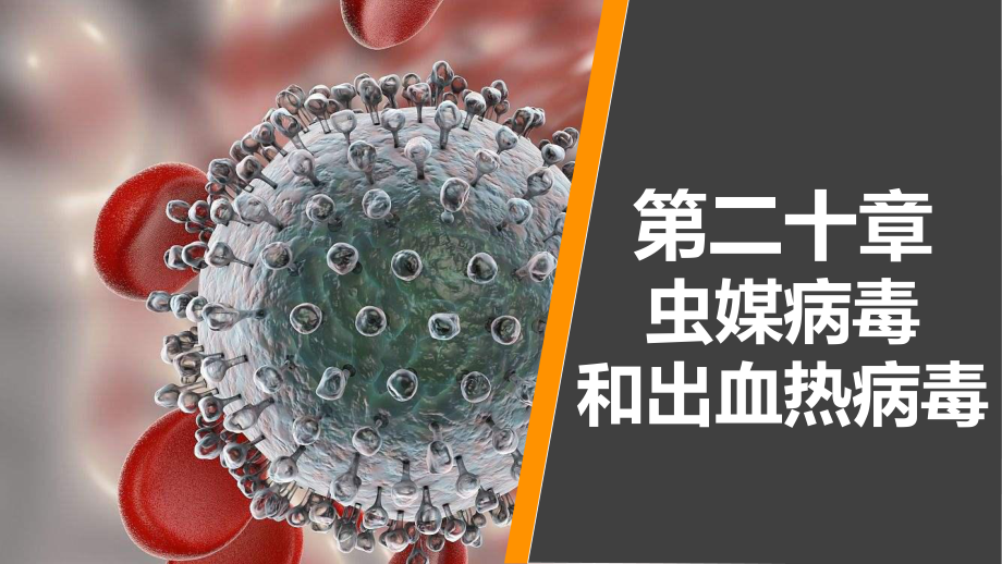 病原生物学与免疫学-第二十章课件.ppt_第1页