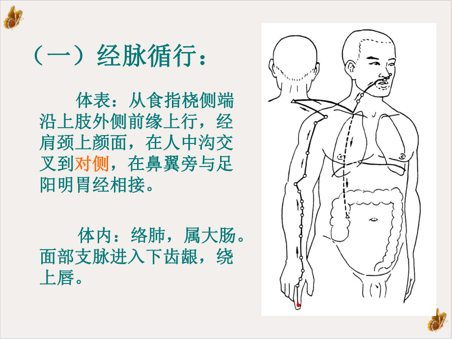 经络腧穴各论大肠-课件.pptx_第2页