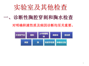 胸膜疾病及慢阻肺课件.ppt