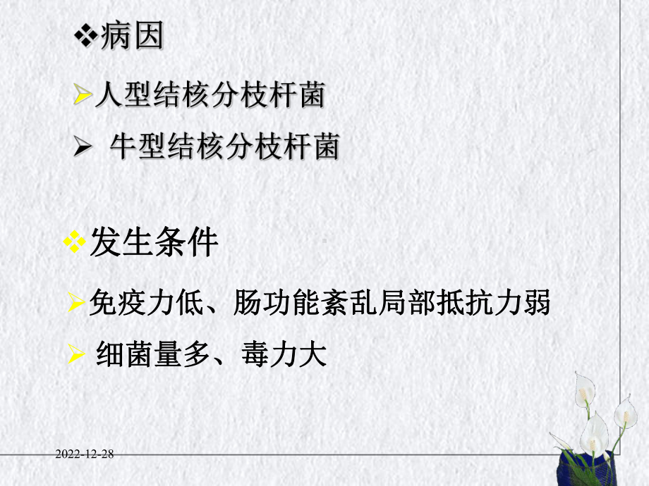 肠结核与结核性腹膜炎优质课件.ppt_第3页