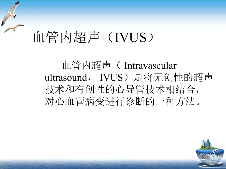 血管内超声IVUS的相关资料示范课件.ppt_第2页