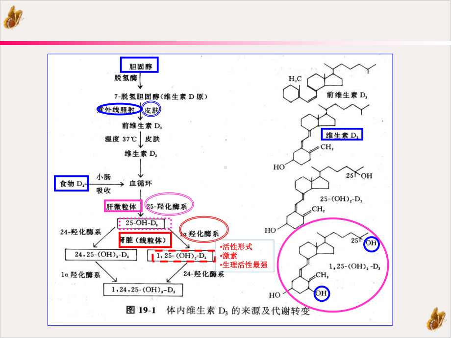 盖三淳的临床应用实用课件.pptx_第2页