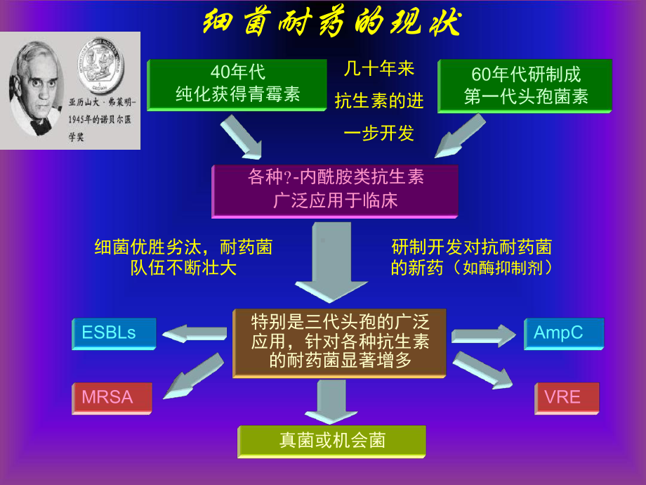 磷霉素钠“时间差冲击疗法”在抗重症感染中的临床应用2课件.ppt_第2页