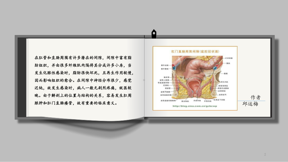 肛管直肠周围间隙的解剖课件.ppt_第2页