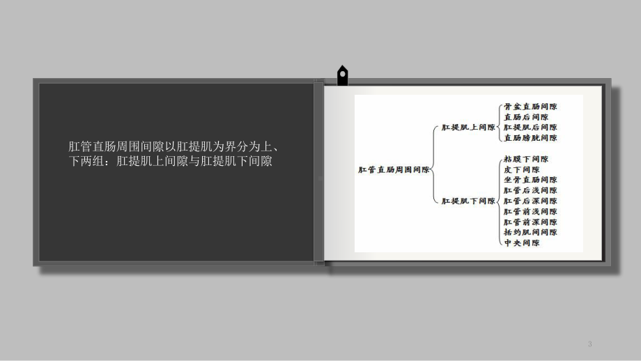 肛管直肠周围间隙的解剖课件.ppt_第3页