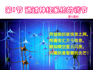 神经中枢与中枢神经系统的区别1课件.ppt