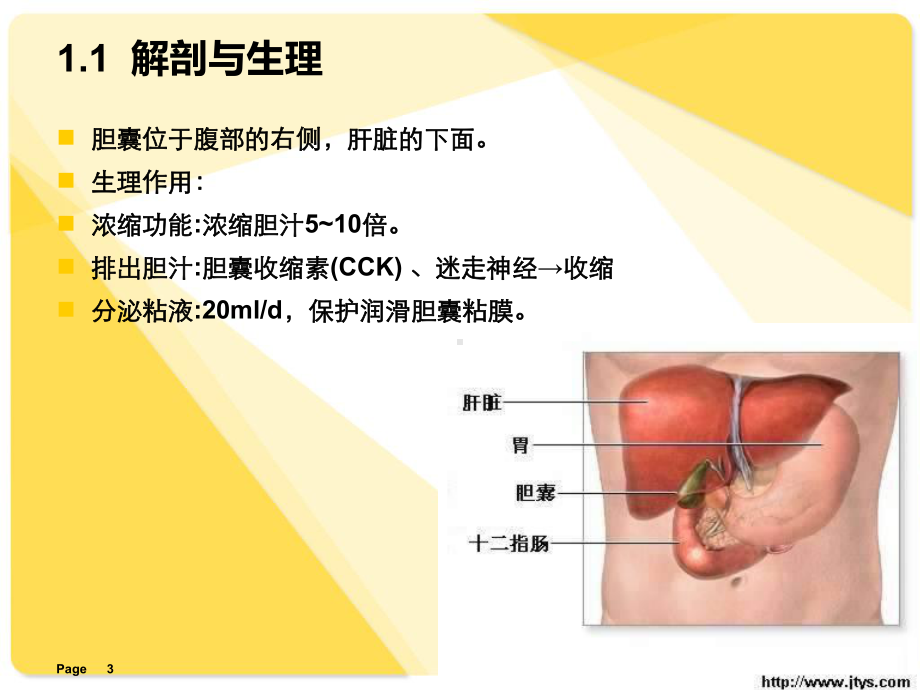 胆囊结石患者围手术期的护理医学课件.ppt_第3页