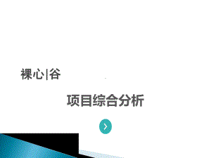 莫干山裸心谷项目分析课件.ppt