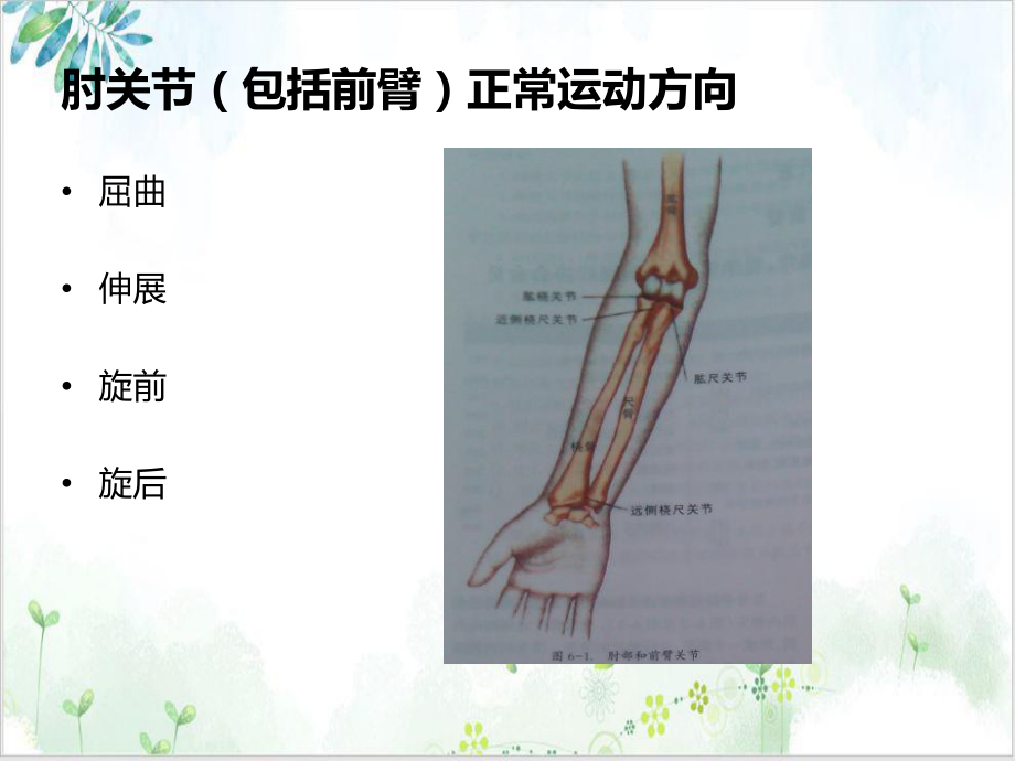 肘关节生物力学培训讲义课件.ppt_第3页