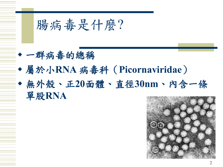 肠病毒防治及重症处理新知课件.ppt_第2页