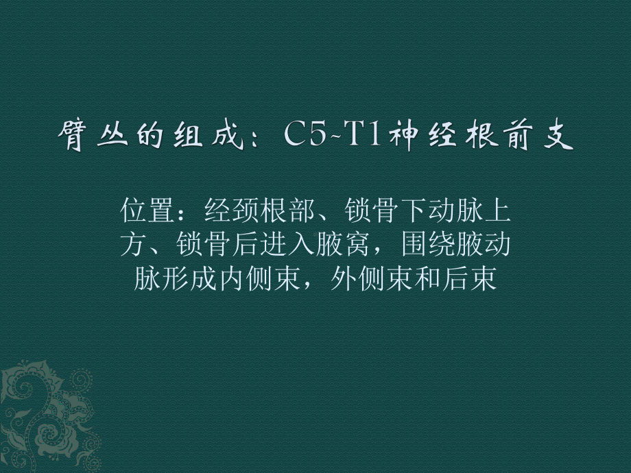 臂丛神经解剖及损伤课件.ppt_第2页