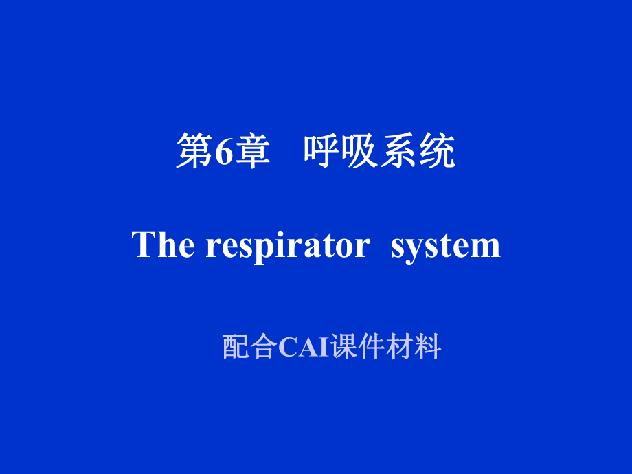 第6章呼吸系统Therespiratorsystem课件.ppt_第1页