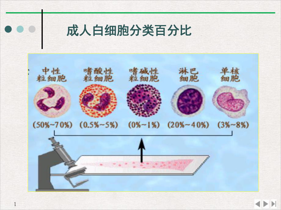 白细胞及血小板课件.pptx_第2页