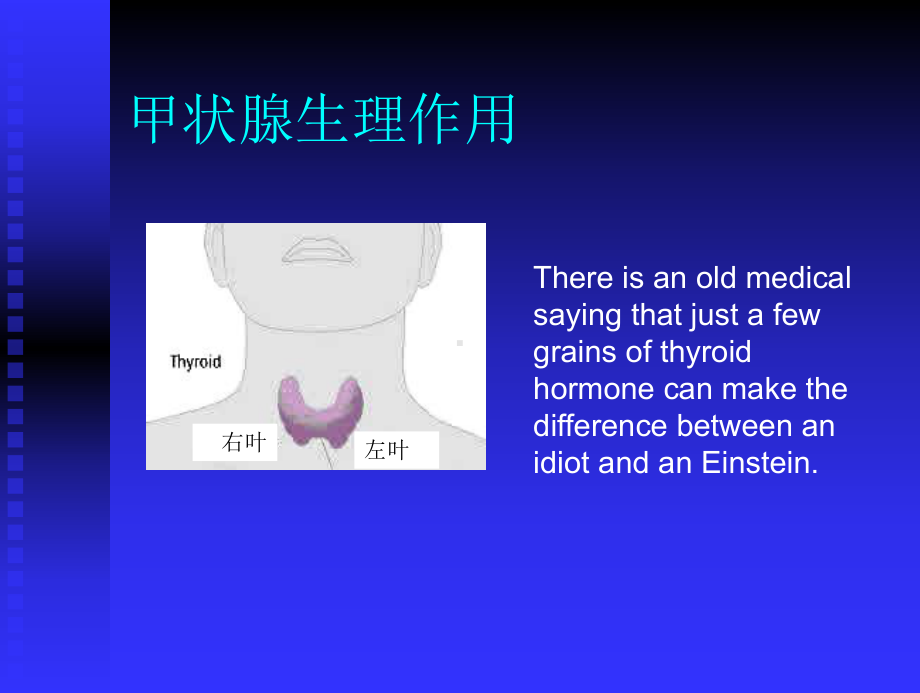 第31章甲状腺激素与抗甲状腺药课件.ppt_第2页