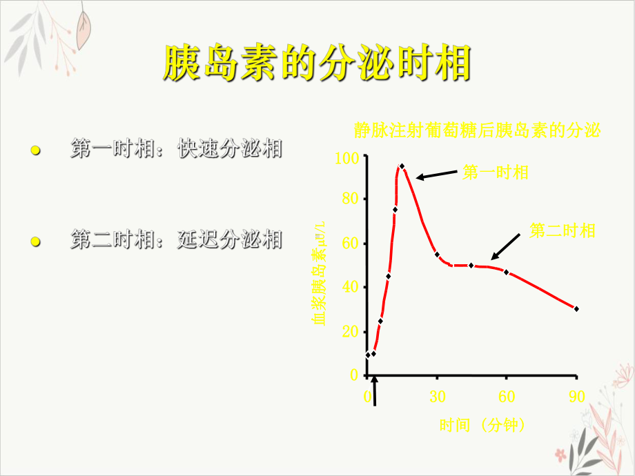 糖尿病的药物治疗课件.pptx_第2页