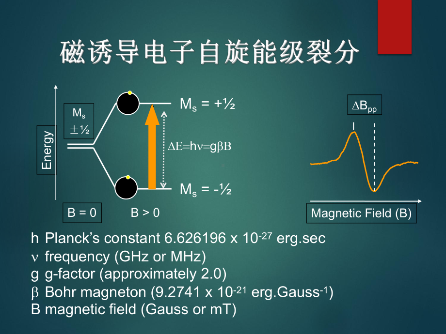 电子顺磁共振(ESR)教程课件.ppt_第2页