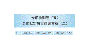 （部）统编版八年级上册《语文》期末复习 专项检测卷（五）名句默写与古诗词赏析（二） 讲练ppt课件.pptx