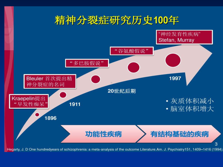 精神分裂症：发病机理与治疗理念-课件.ppt_第2页