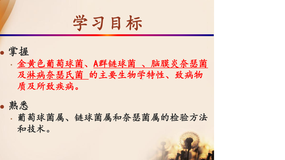 第二十章致病性球菌课件.ppt_第3页