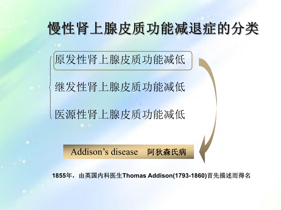 肾上腺皮质功能减退症-课件.ppt_第2页