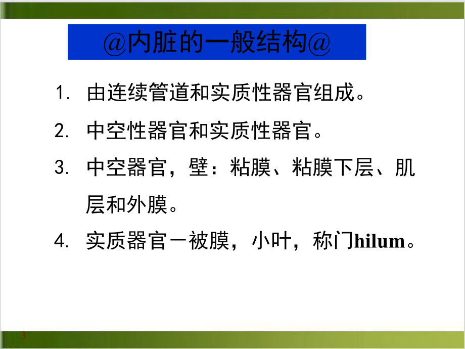 解剖学消化系统一章消化管培训课件.ppt_第3页