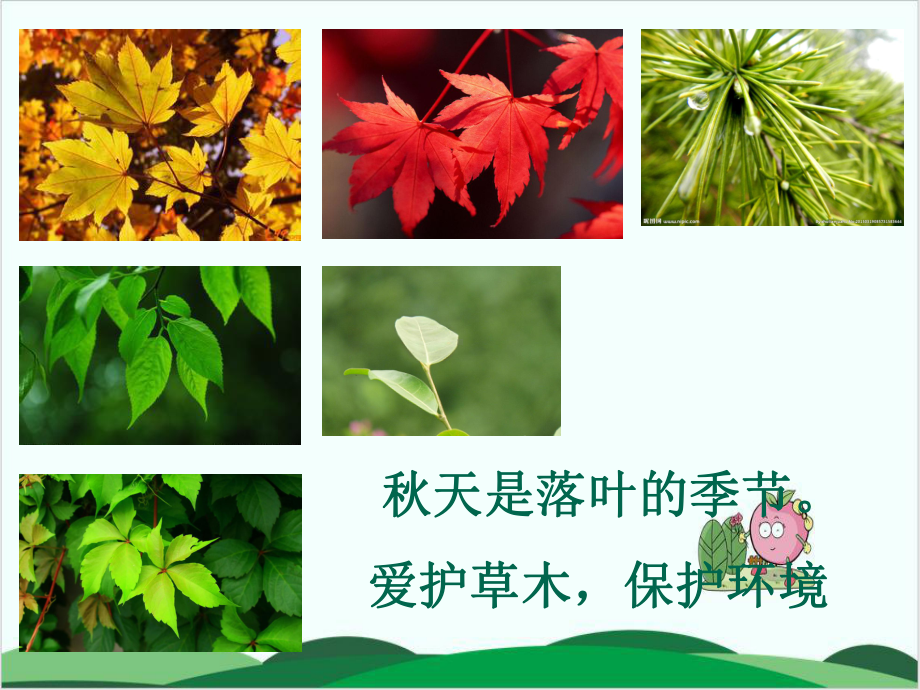 粤教版科学《植物的叶》优秀推荐1课件.ppt_第2页