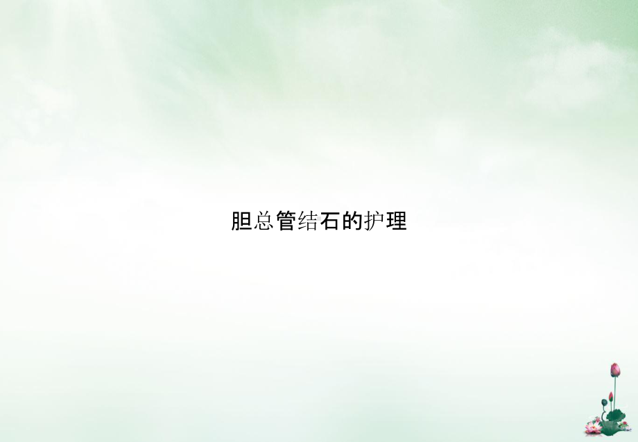 胆总管结石的护理优质课件.ppt_第1页