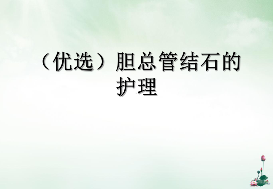 胆总管结石的护理优质课件.ppt_第2页