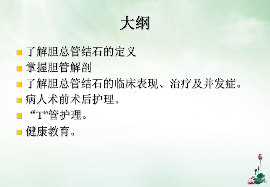 胆总管结石的护理优质课件.ppt_第3页