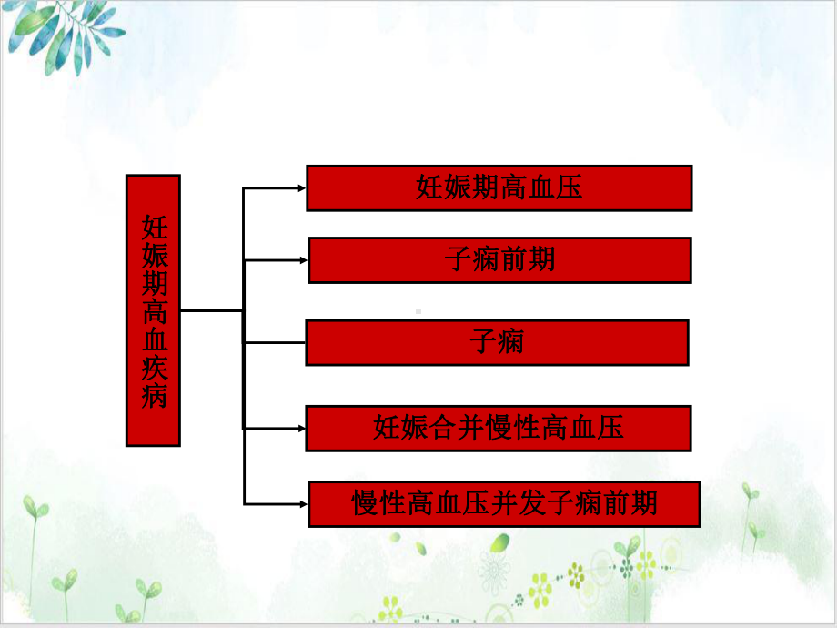 讲课课件妊娠高血压疾病优秀案例.ppt_第3页