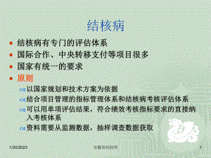 疾病预防控制机构绩效评估指标结核病控制部分课件整理.ppt