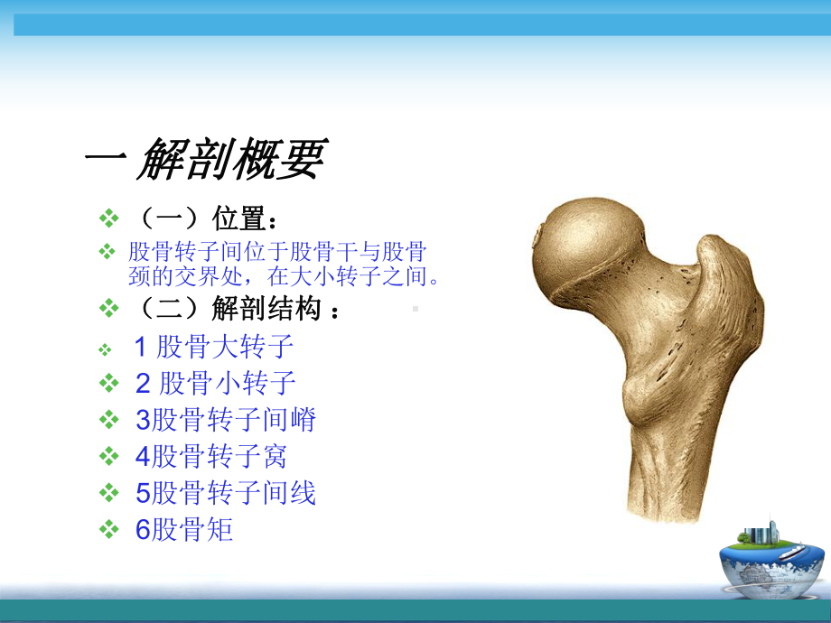 股骨转子间骨折(同名116)课件.ppt_第3页