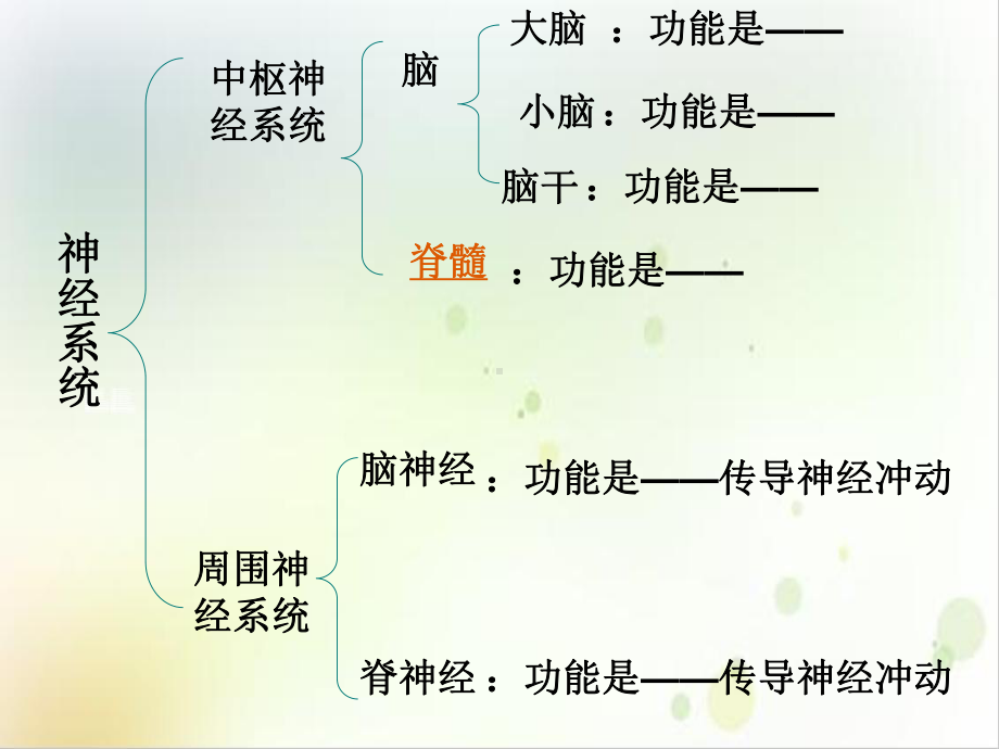 第二节神经系统的组成课件整理.ppt_第3页