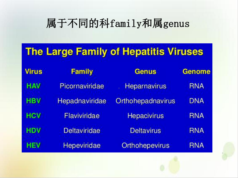 肝炎病毒及其检验年案例课件.ppt_第3页