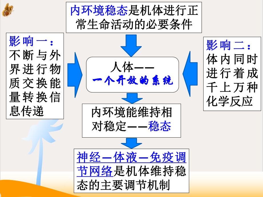 神经系统的调节上课用课件.pptx_第1页