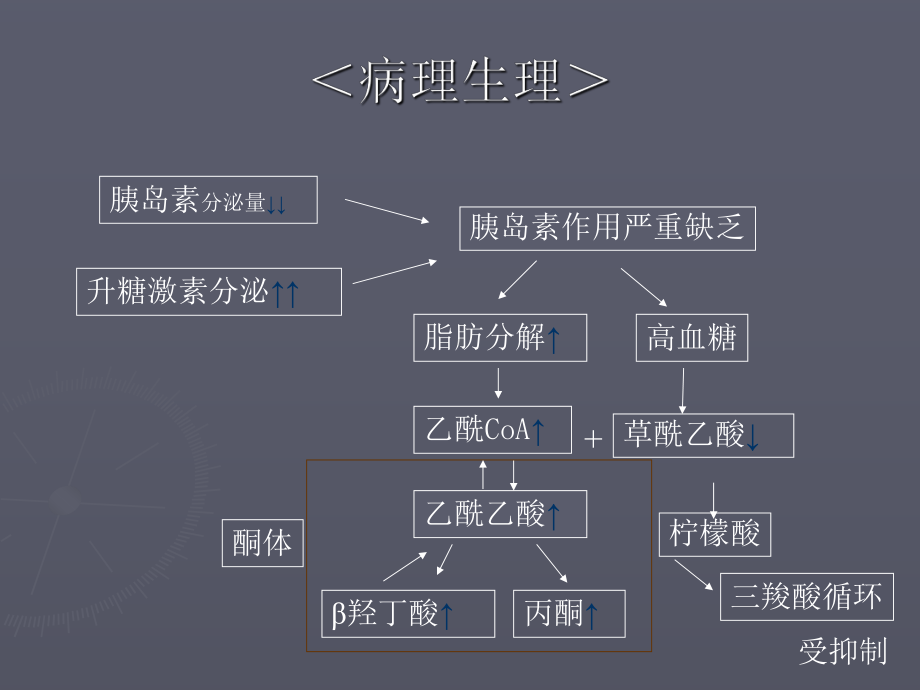 糖尿病酮症酸中毒课件整理整理.ppt_第2页