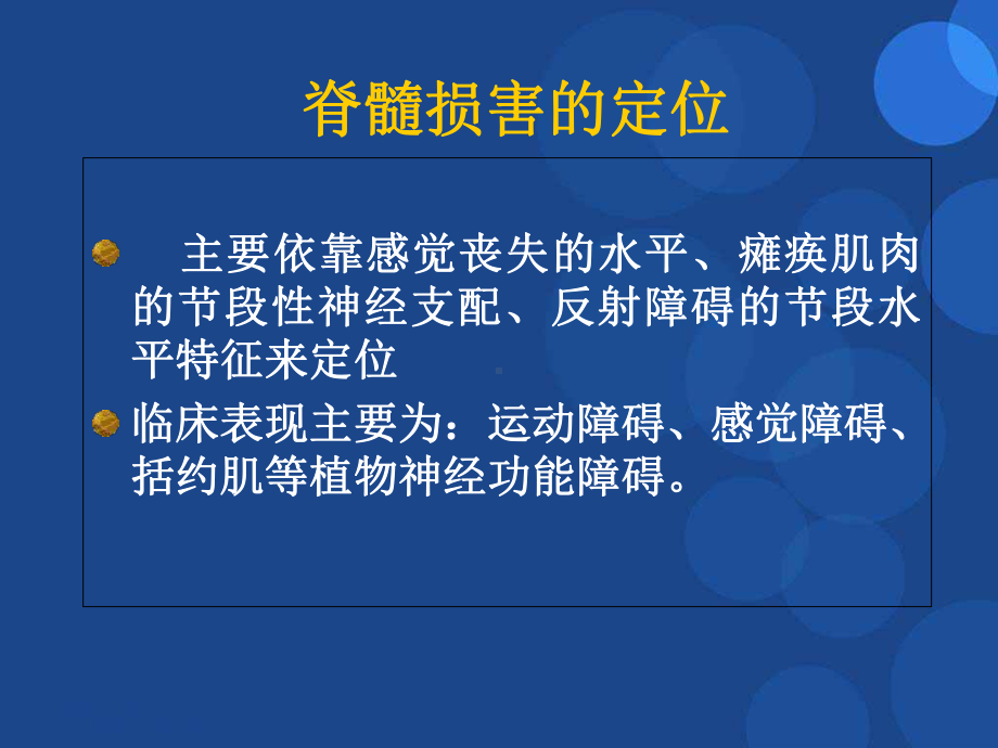 脊髓参考课件.ppt_第2页