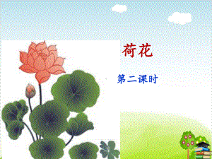 荷花-17(最新课件).ppt