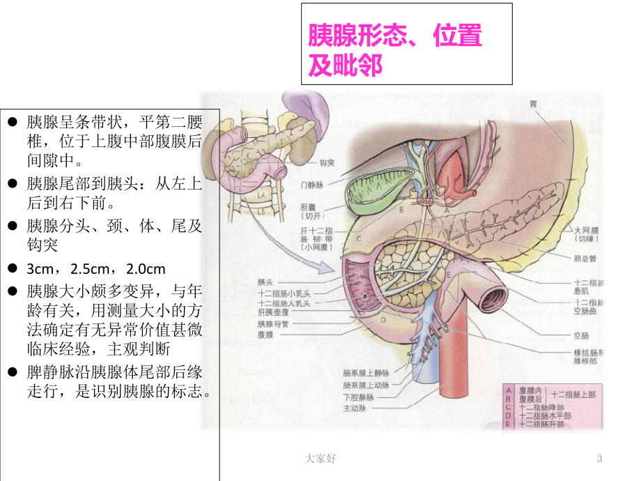 胰腺肿瘤的影像学诊断-课件.ppt_第3页