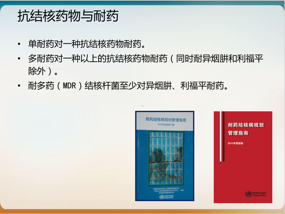 耐多药结核病临床路径优秀案例课件.ppt_第3页