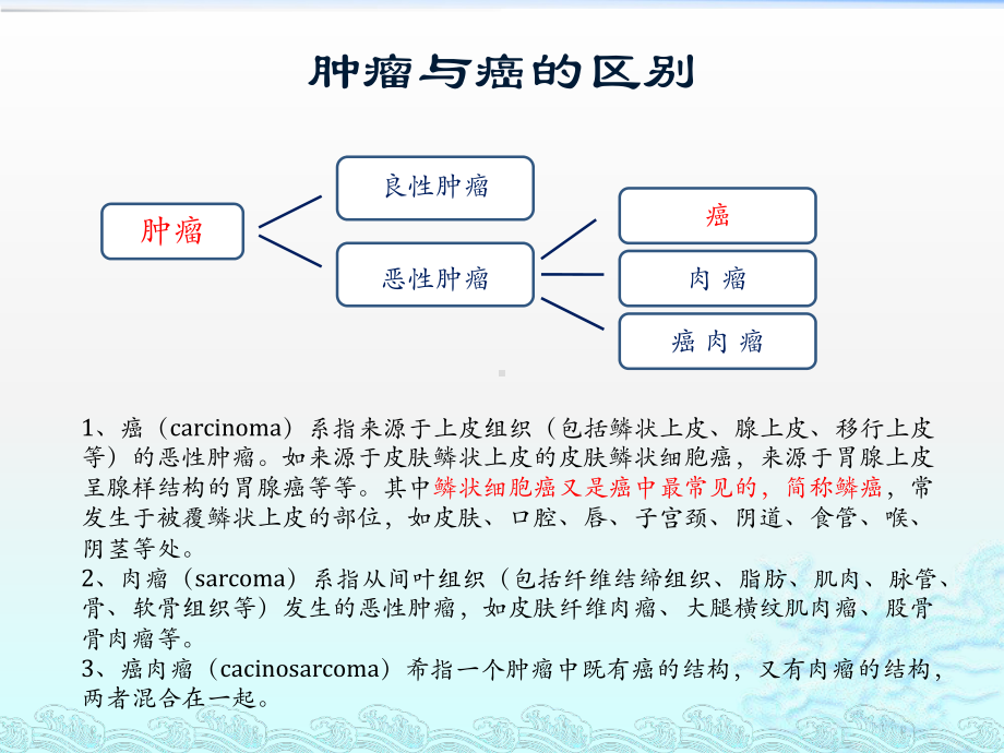 肺癌的基础知识课件.pptx_第3页