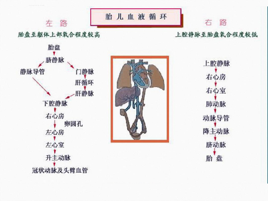 荟萃10先天性心脏病课件.ppt_第3页