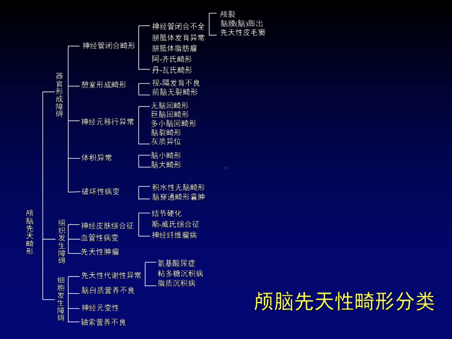 脑先天畸形影像系NX课件.ppt_第3页