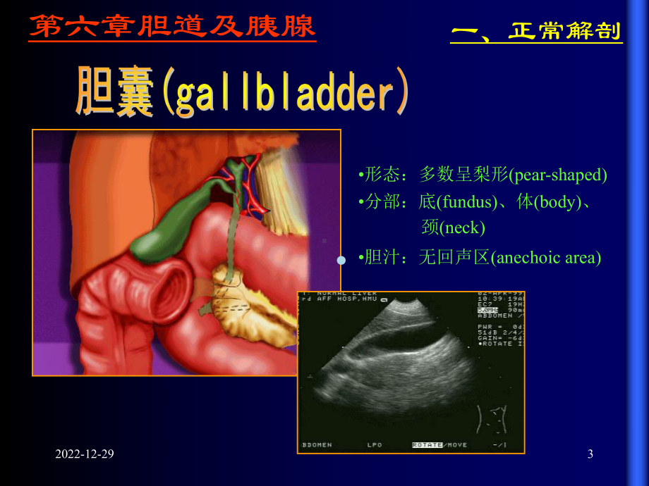 胆道及胰腺超声课件-1.ppt_第3页