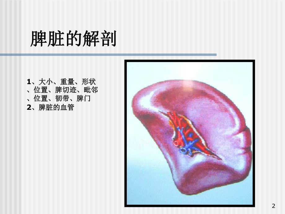 脾脏及脾脏疾病影像学表现课件整理.ppt_第2页