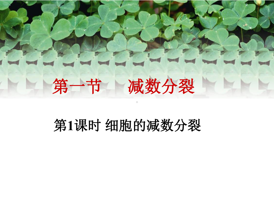 苏教版高中生物必修二-细胞的减数分裂-课件.ppt_第1页