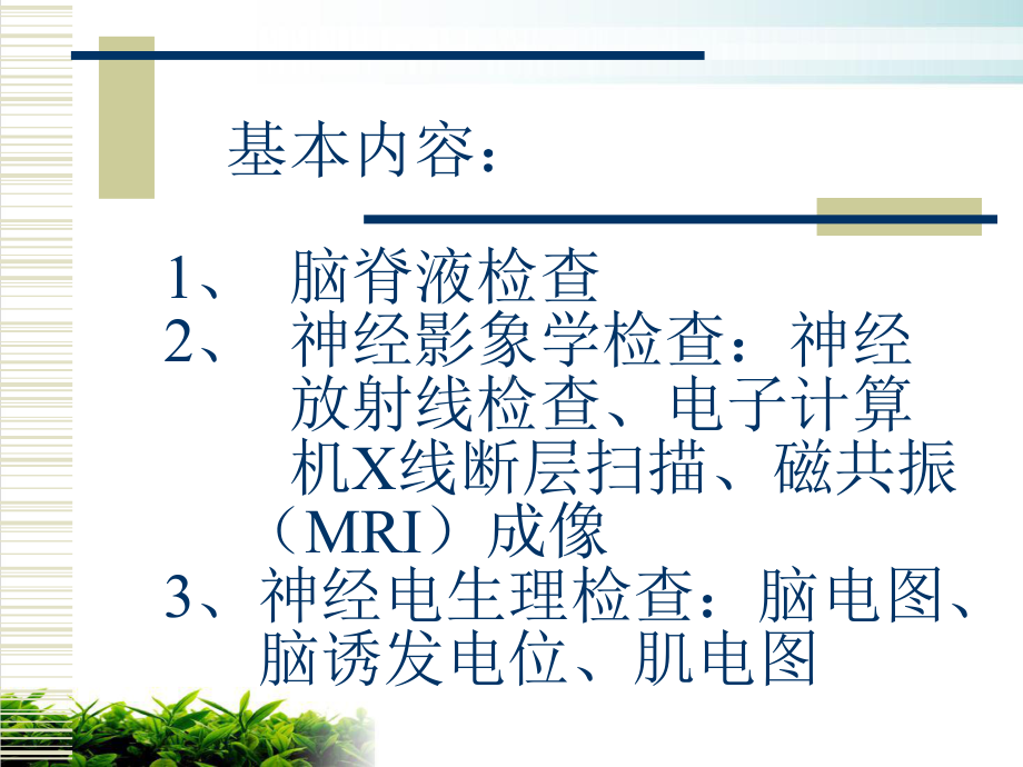 神经系统疾病辅助检查资料课件演示整理.ppt_第2页