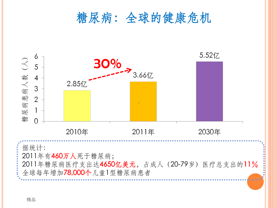 糖尿病治疗概论及预防课件.ppt_第2页