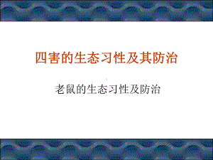 老鼠的生态习性和防治讲课件.ppt