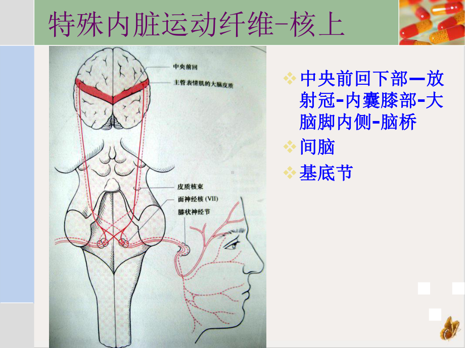 神经内科学术沙龙课件1.pptx_第3页